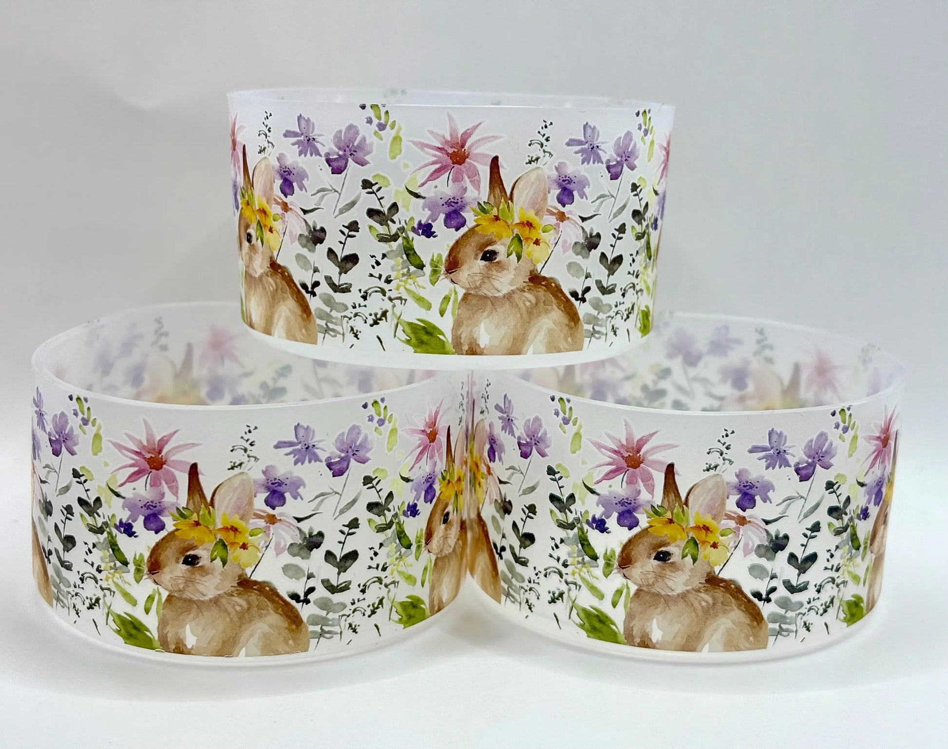 Bunny Rabbit Transparent Tumbler Boot