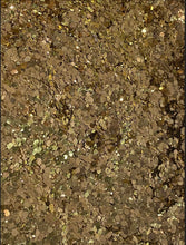 Load image into Gallery viewer, Gold Digger Chunky Glitter
